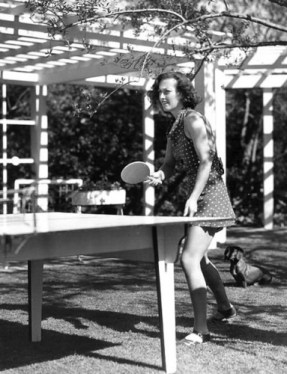 dachshund-crawford-2