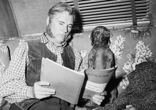 Bespectacled Daschund Sits With Master