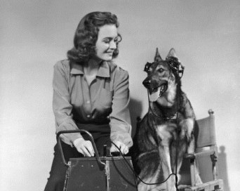 sis-eyesinthenight-6